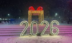 Ankara yeni yıla kar yağışı ile girdi