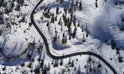 Karla kaplanan ormanlık alandan kartpostallık görüntüler