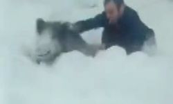 Yaban domuzu sürüsüne dalıp eliyle yakaladı