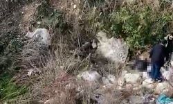 Balıkesir'de kaybolmuştu, c*sedi Mersin'de bulundu