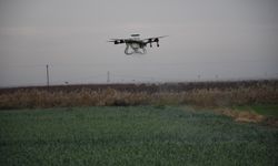 Dronla çiftçinin zayiatını sıfıra indirdi