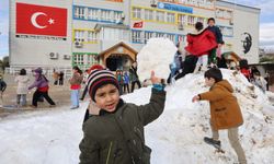 Okullar Kar Tatili edildi. İşte O İl ve İlçeler!