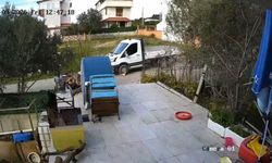 Yerde yatan köpeği ezip yoluna devam etti