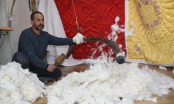 Son hallaçlar, teknolojiye direniyor