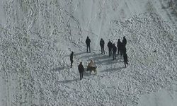 Nevşehir'de köpek dövüşüne jandarma baskını