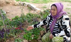 Bakın mezardaki çiçekleri söküp ne saklamışlar!
