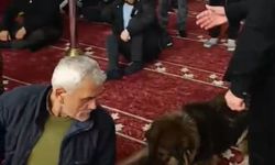 Camiye giren sokak köpeği, cemaatin arasında dolaştı