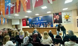 Aldemir: "AK Parti Mersin’de üye sayısında rekor kırdı"