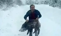 Yavru domuzu elleriyle yakalayan kişiye 15 bin lira ceza