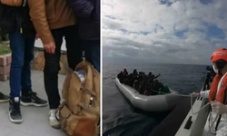 Ali Yerlikaya: 19 Göçmen Kaçakçılığı Organizatörü ve 478 Düzensiz Göçmen Yakalandı