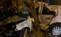 Kontrolünü kaybeden otomobil ağaca çarparak durabildi