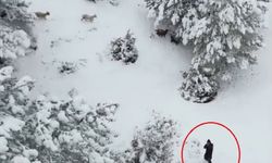 Nallıhan’da çoban, gördüğü drona tüfek doğrulttu