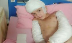 Köpek saldırısında yaralanan Tunahan'a 5 milyon TL tazminat