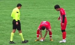 İstanbul'da maç sırasında topun çarptığı martı kalp masajıyla hayata döndürüldü