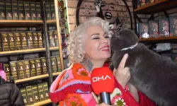 Mardinli Marilyn Monroe: 100 bin liram olsaydı cezaevine girmeyecektim