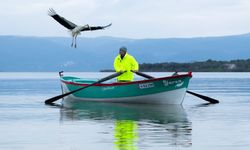 Yaren Leylek 15. yılda da göçüp geldi