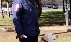 Jandarmanın hassas burnu "Medyum" 10 yıllık mesaisini tamamladı