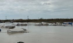 Tarsus’ta 8 bin dönüm tarım arazisi sular altında kaldı