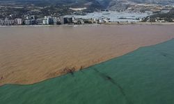 Derelerden Akdeniz'e akan sel suları kıyı şeridini çamura bürüdü