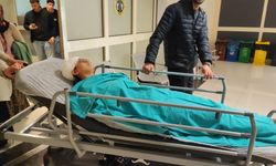 Ekmek almaya giderken sokak köpeklerinin saldırısına uğrayan genç kız yaralandı