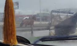 Başıboş at trafikte tehlike saçtı