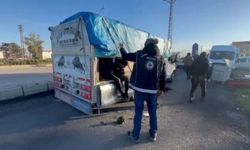 Mide bulandıran kaçakçılık: Hayvan dışkısının altında saklandılar!