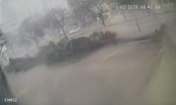 Fırtına dev ağaçları kökünden söktü, o anlar kameraya yansıdı