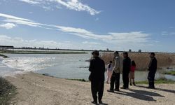 Seyhan Nehri taştı, Tarsus'ta tarım arazileri sular altında kaldı