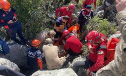 Keçilerin peşinden gidip kaya yarığına sıkıştı