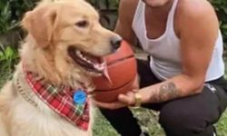 Gaziosmanpaşa'da kan donduran olay: Kız kardeşinin yanındaki genci bıçaklayarak...