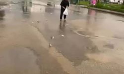 Bodrum'da sağanak; yollar trafiğe kapandı, iş yerlerini su bastı