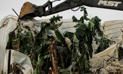 Mersin'de orman sınırlarındaki kaçak yapıların yıkımına başlandı