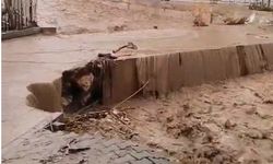 Erdemli'de bahçeler sular altında kaldı, taşan dere denizle birleşti