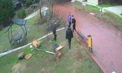 Kuş yuvasını parçalayan çocuklara ev hapsi