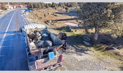 Hafta sonu pikniğinin ardından 250 poşet çöp toplandı