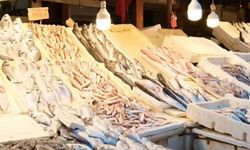 Yağmurun Bereketi Balık Tezgahlarını Şenlendirdi