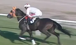 Şampiyon atın eti aşevinde dağıtıldı! Sahibi ilk kez konuştu: “Hayır yapayım derken..."