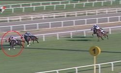 Adana’da yarış atı kavurma yapılan iş insanına da 132 bin TL ceza kesildi