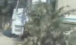 Adana'da şiddetli rüzgar ağaçları devirdi