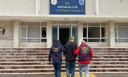 Mersin’de 19 yıl hapis cezası bulunan şahıs jandarmadan kaçamadı