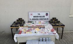 Mersin'de sigara kaçakçılığıyla mücadele 1 şüpheli yakalandı