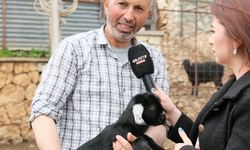 Tarım Var, Hayvancılık Var Ama İşçi Yok