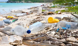 Türkiye’den çevre için kritik adım: Tek kullanımlık plastikler yasaklanıyor