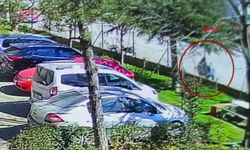 El freni çekilmeyen otomobil, dede ve torunlarını ezdi: 1 ölü, 2 ağır yaralı