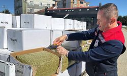 2 ton zehirli antep fıstığı imha edildi: Baklava yapılacakmış!