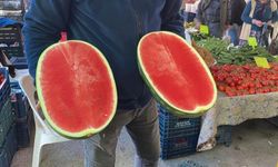 Karpuz pazara dilim dilim düştü: Kilosu 50 TL
