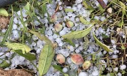 Mersin'de misket büyüklüğünde dolu etkili oldu: Orman ve bahçeler beyaza büründü