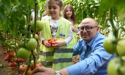 Çocuk serasında minikler yetiştirdikleri sebzeleri hasat etti