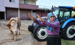 Kozan'daki selde hayvanları telef olan kadın: "Bir anda sel geldi, ahırın üstünü aştı"
