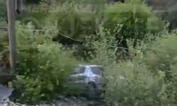 Otomobil Şarampole Yuvarlandı: 1 Ölü